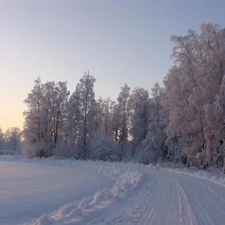 Holiday home Arja Tahkovuori