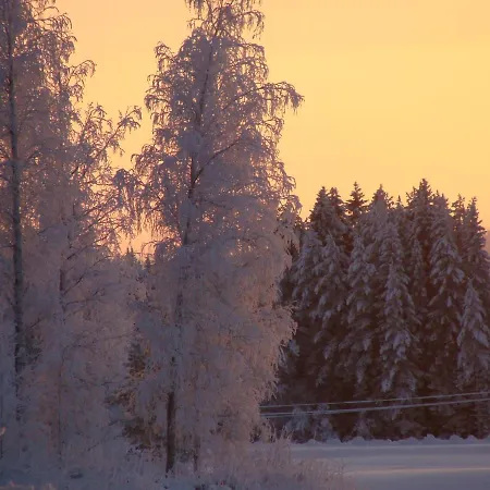 Arja Tahkovuori
