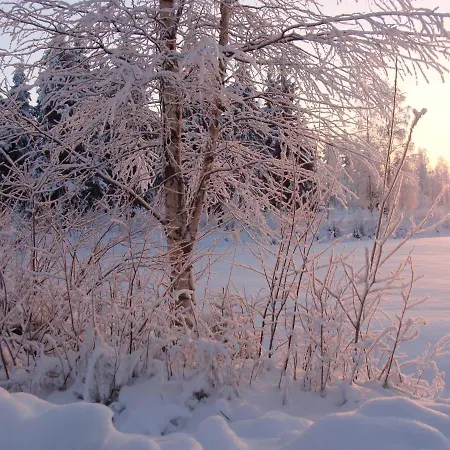 Arja * Tahkovuori