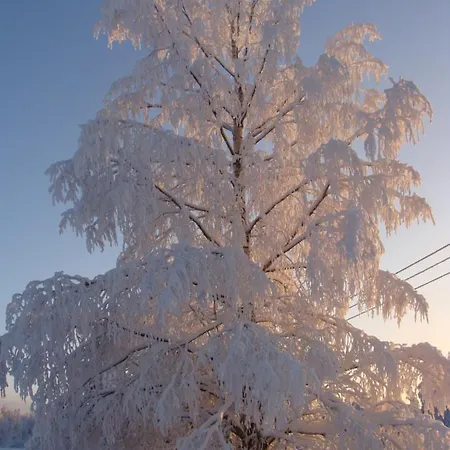 Arja * Tahkovuori